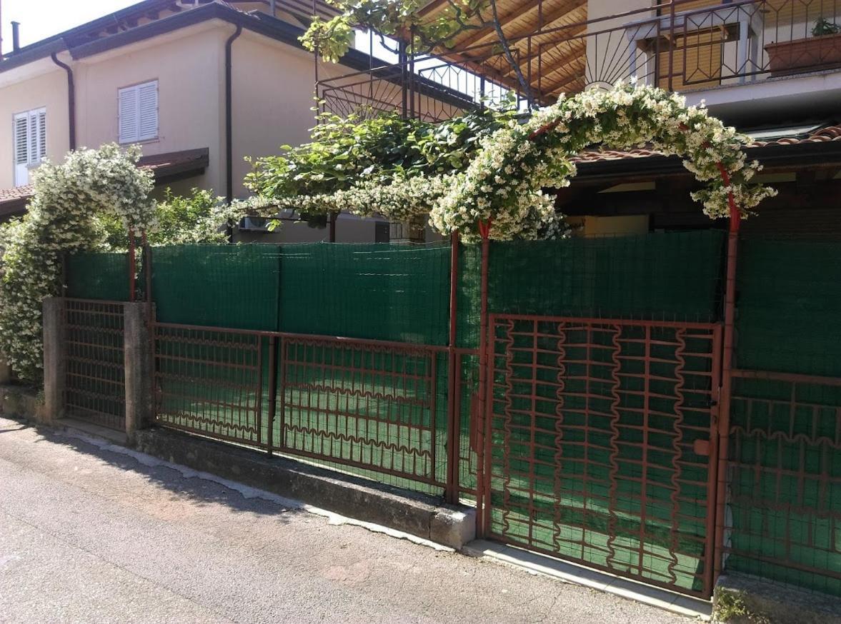 Apartment Casa Del Sol Novigrad Istria 외부 사진